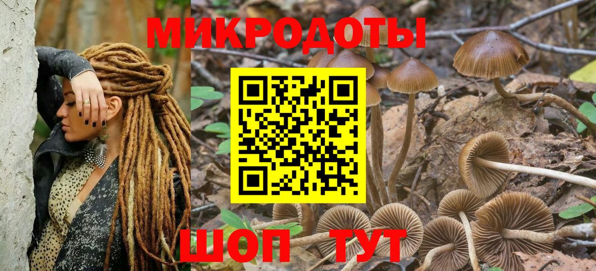 Псилоцибиновые грибы Psilocybine cubensis  Вход с VPN  Моздок 