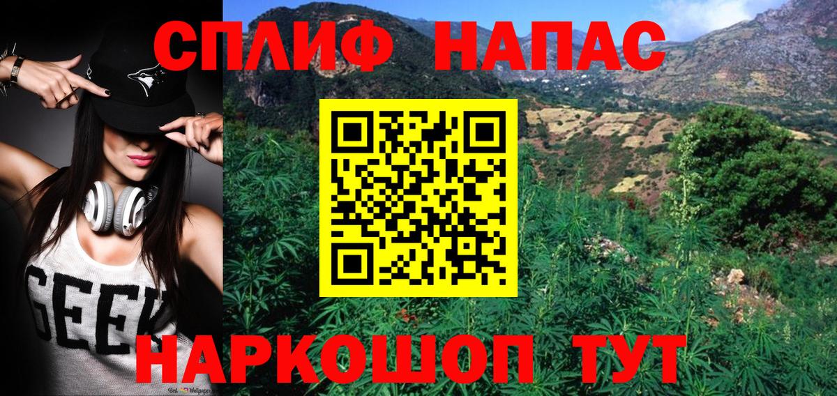 Шишки марихуана план  Канабис Amnesia  Моздок  Вход с VPN 